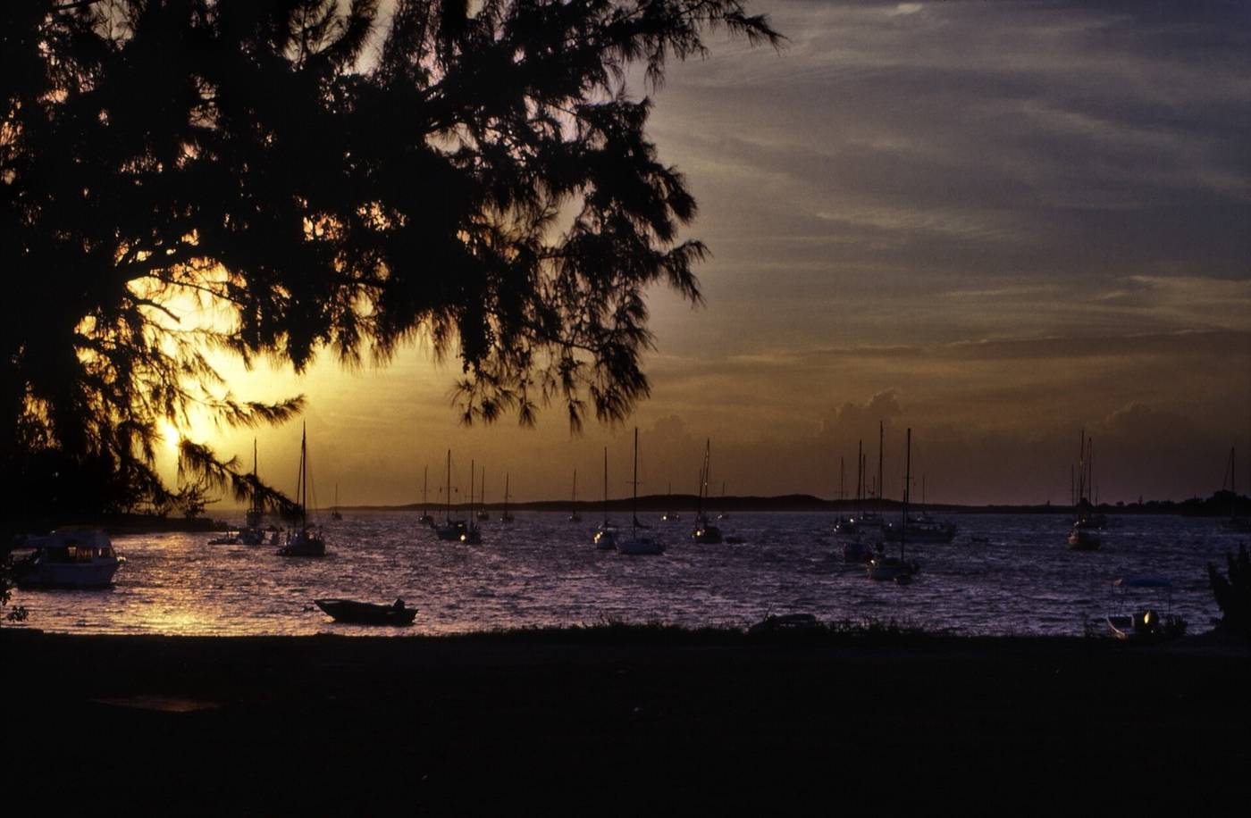 Sailboats and motorboats riding at anchor in George Town harbour at sunset