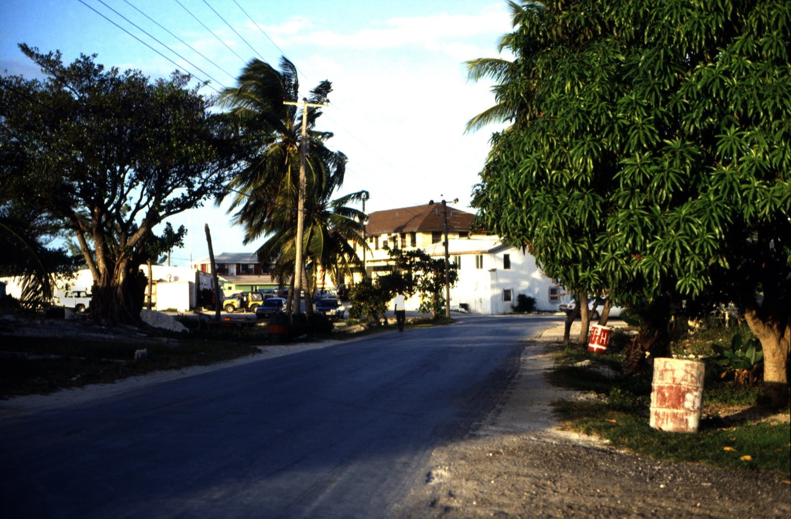 Paved street in George Town, Great Exuma, lined with trees, a parked car and two-storey white buildings