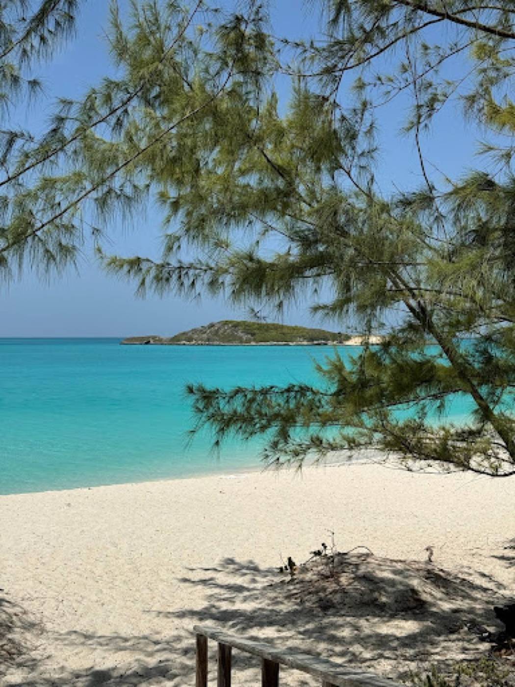Casuarina trees framing a white sand beach, turquoise water and a small island offshore