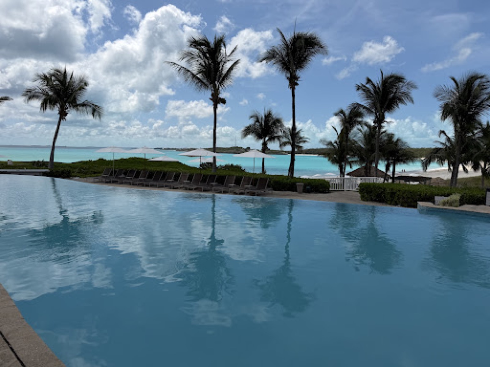 Infinity pool beside palm trees, loungers and turquoise water at a Great Exuma resort